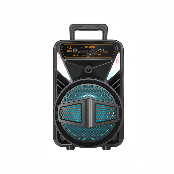 15W Portable Karaoke Bluetooth Speaker