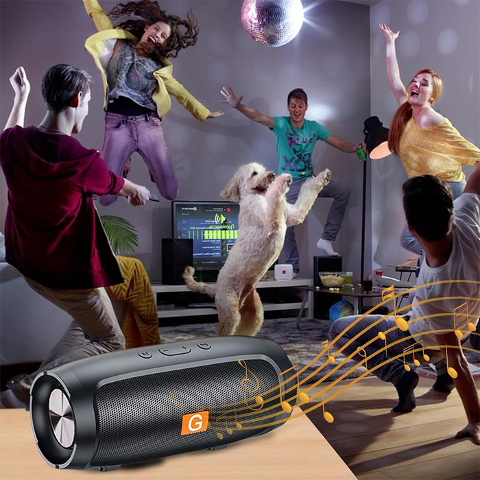 Portable Bluetooth Speaker 6+ with Powerful Bass and Long-Lasting Battery Life