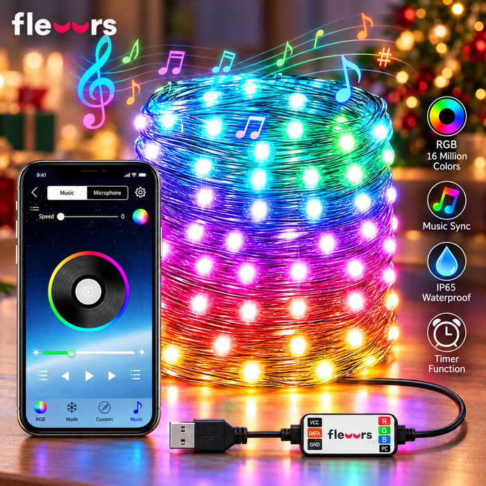 Color Christmas Lumières de Noël Bluetooth RVB 10m avec application