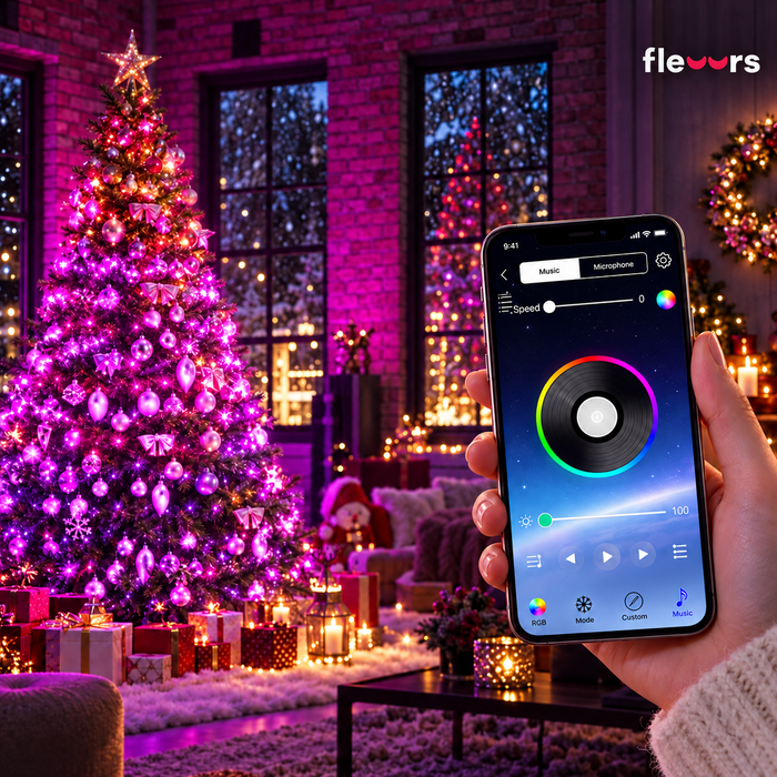 Color Christmas Lumières de Noël Bluetooth RVB 10m avec application