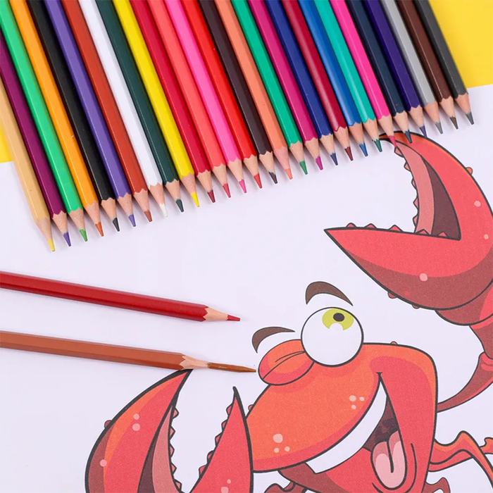 Matite Colorate Acquerellabili e Cancellabili 48 Colori